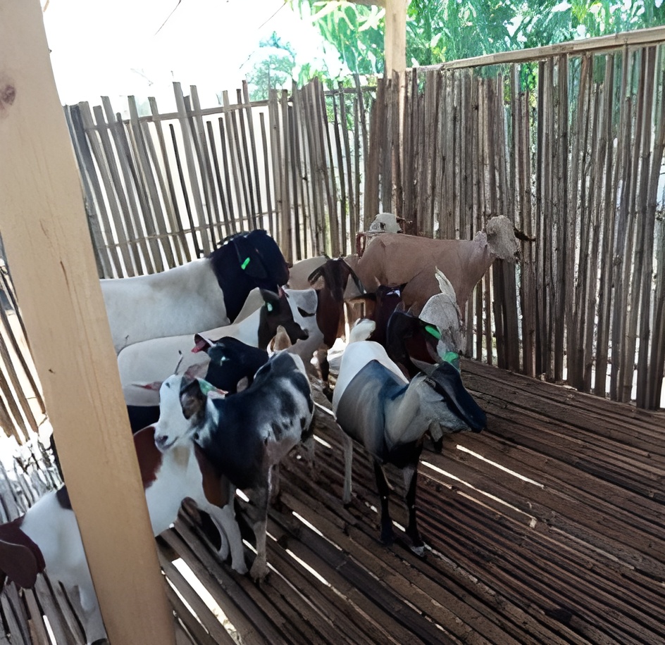 Community connection