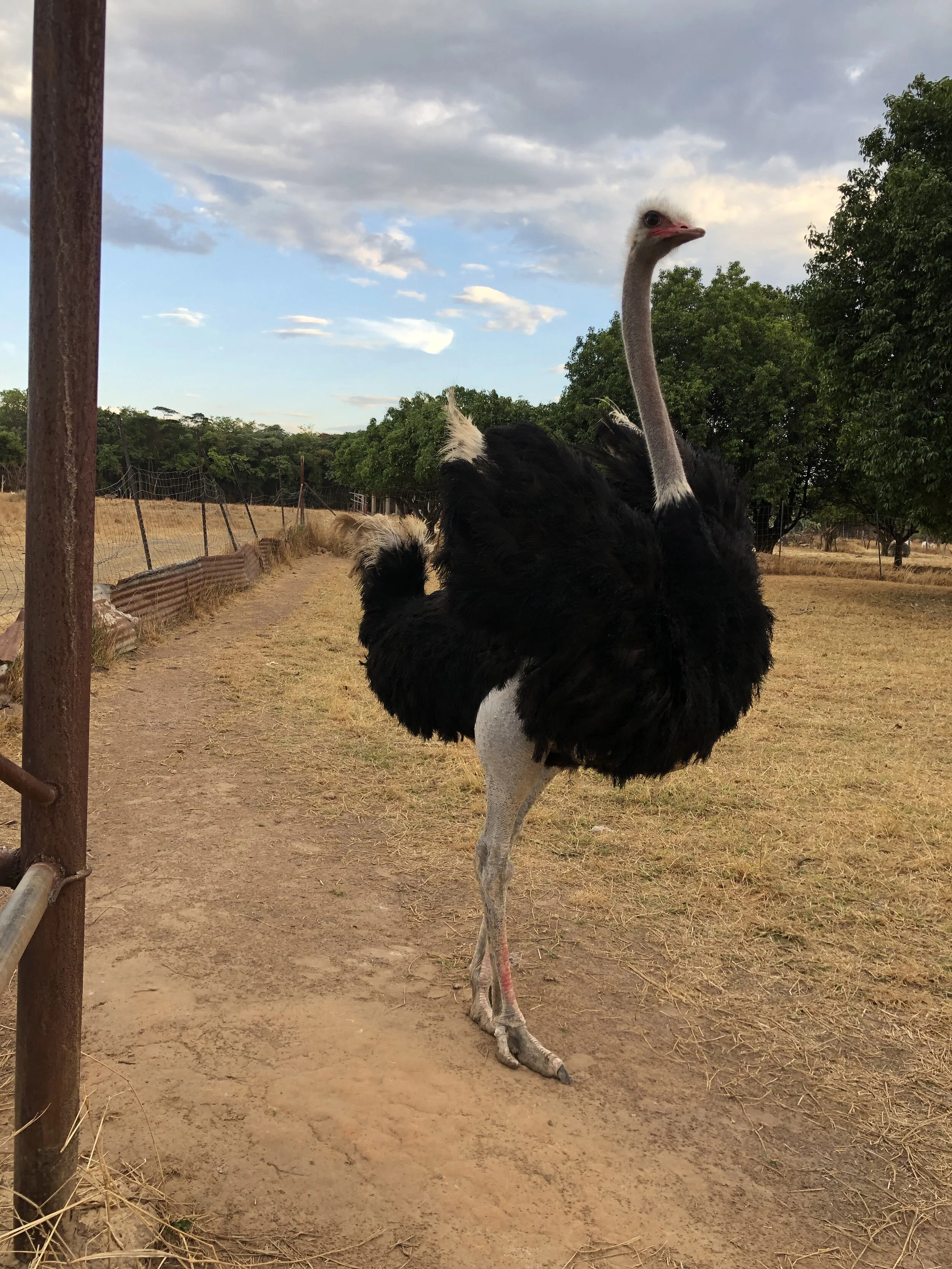 Campus and surroundings